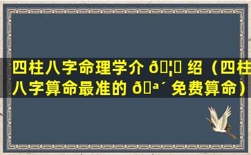 四柱八字命理学介 🦍 绍（四柱八字算命最准的 🪴 免费算命）